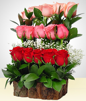 Arreglos Florales - Cataratas de ensueo con 15 Rosas