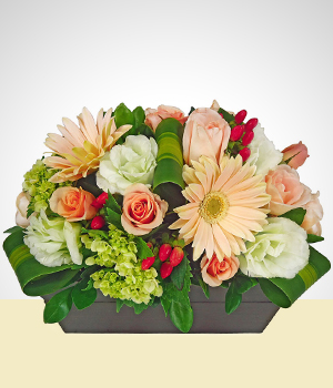 Gerbera - Jardn Encantado - Arreglo Premium