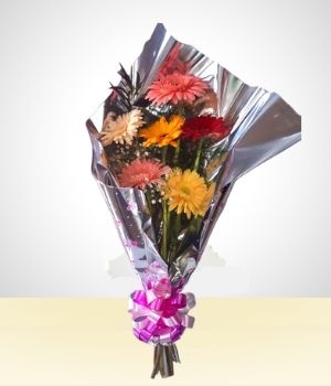 Cumpleaos - Bouquet Gerberas Multicolor