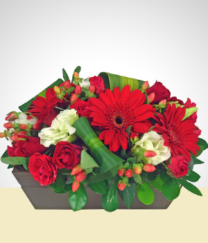 Flores a  Jardn Escarlata - Arreglo Premium