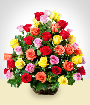 Flores a  Arreglo de 50 rosas multicolor